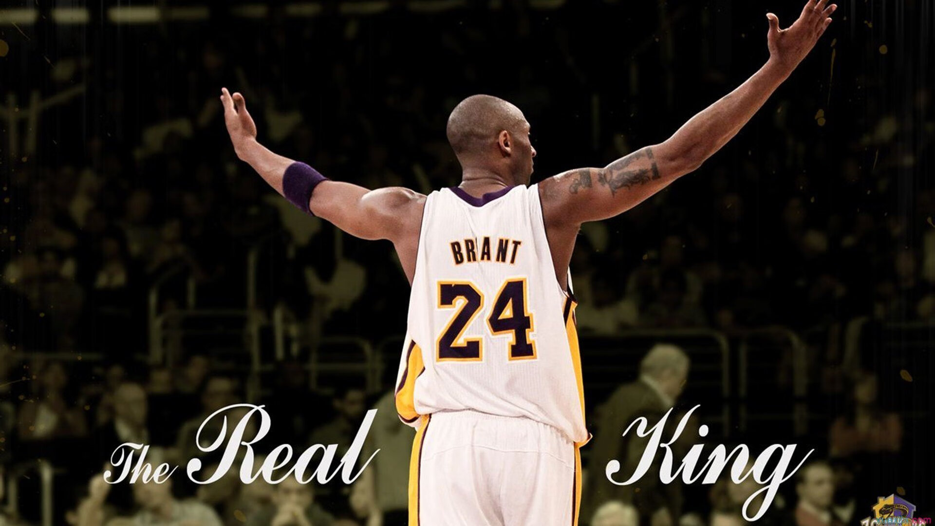 kaiyun.com-青少年裁判“学习+实战”双提升路径在多地全面推行，行业规范加快落实